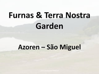 www.passie-voor-reizen.nl Furnas & Terra Nostra Garden Azoren – São Miguel 