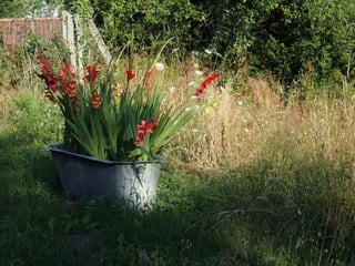 Lot, Chapelle N.D.-de-Vandale