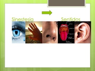 Sinestesia Sentidos
 