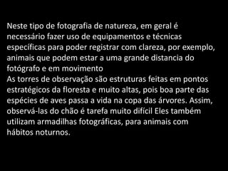  Neste tipo de fotografia de natureza, em geral é necessário
fazer uso de equipamentos e técnicas específicas para poder
registrar com clareza, por exemplo, animais que podem estar
Eles também utilizam armadilhas fotográficas, para animais
om hábitos noturnos.
Neste tipo de fotografia de natureza, em geral é
necessário fazer uso de equipamentos e técnicas
específicas para poder registrar com clareza, por exemplo,
animais que podem estar a uma grande distancia do
fotógrafo e em movimento
As torres de observação são estruturas feitas em pontos
estratégicos da floresta e muito altas, pois boa parte das
espécies de aves passa a vida na copa das árvores. Assim,
observá-las do chão é tarefa muito difícil Eles também
utilizam armadilhas fotográficas, para animais com
hábitos noturnos.
 