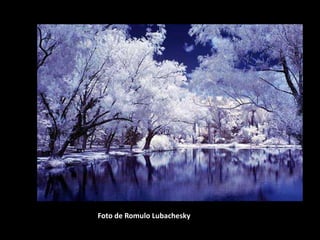 Foto de Romulo Lubachesky
 