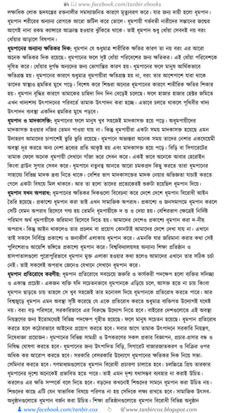 300+ bangla essay and composition tanbircox