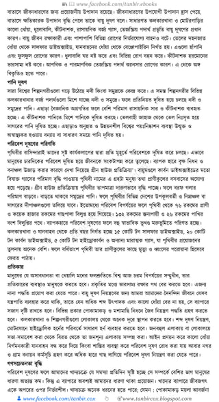 300+ bangla essay and composition tanbircox