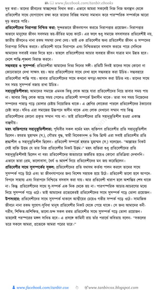 300+ bangla essay and composition tanbircox