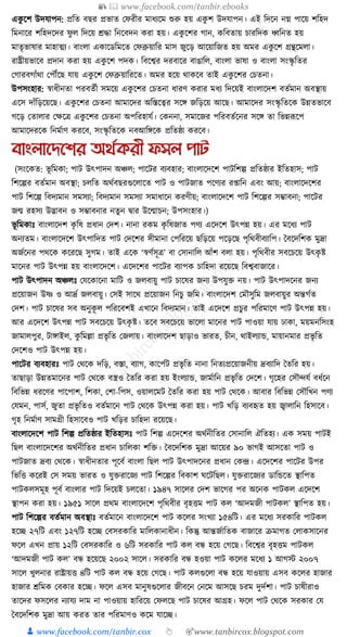 300+ bangla essay and composition tanbircox