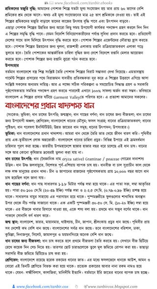 300+ bangla essay and composition tanbircox