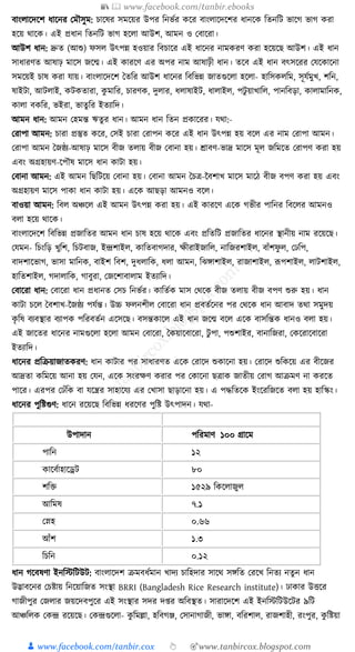 300+ bangla essay and composition tanbircox