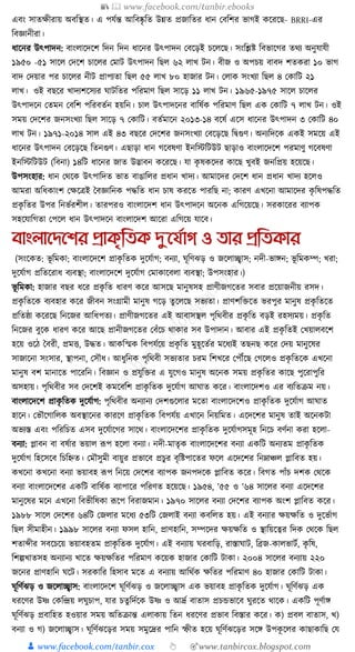 300+ bangla essay and composition tanbircox