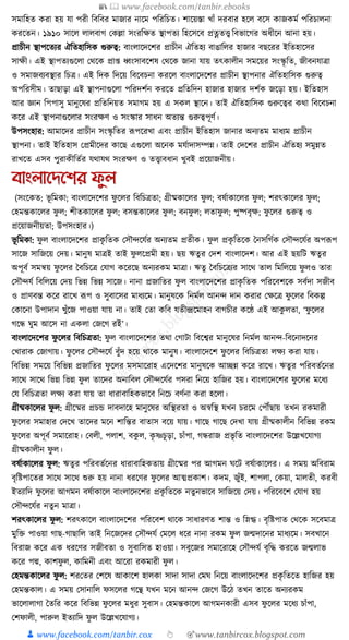 300+ bangla essay and composition tanbircox