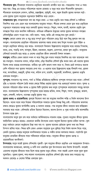 300+ bangla essay and composition tanbircox