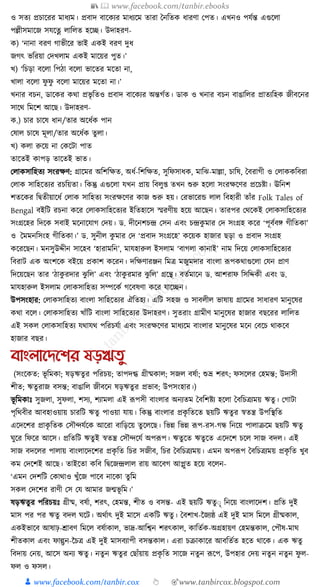 300+ bangla essay and composition tanbircox