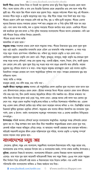 300+ bangla essay and composition tanbircox