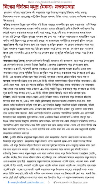 300+ bangla essay and composition tanbircox