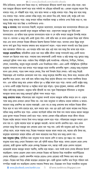 300+ bangla essay and composition tanbircox