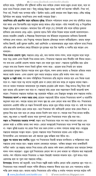 300+ bangla essay and composition tanbircox