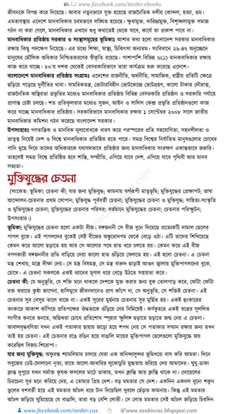 300+ bangla essay and composition tanbircox