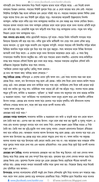 300+ bangla essay and composition tanbircox
