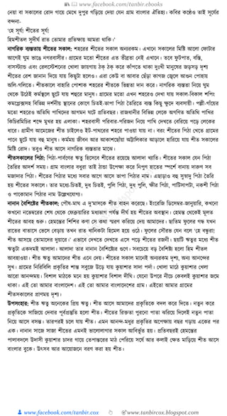 300+ bangla essay and composition tanbircox