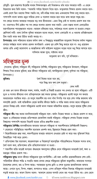 300+ bangla essay and composition tanbircox