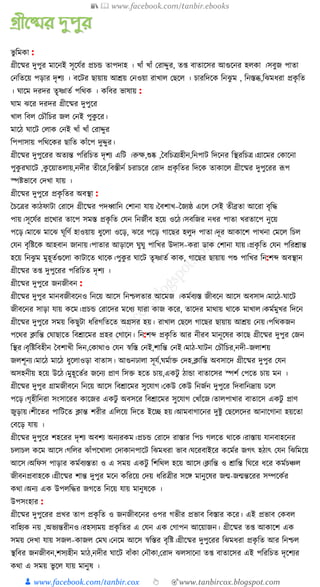 300+ bangla essay and composition tanbircox