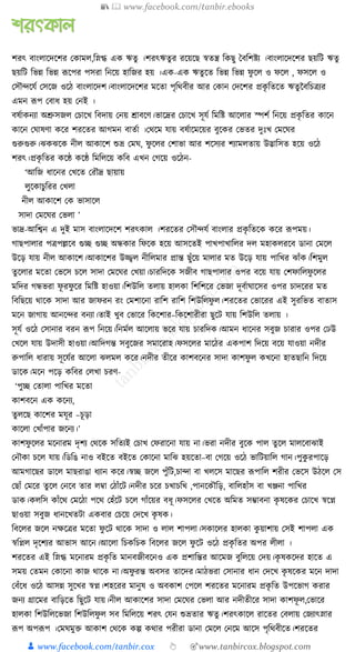 300+ bangla essay and composition tanbircox