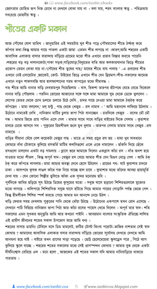 300+ bangla essay and composition tanbircox