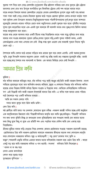 300+ bangla essay and composition tanbircox