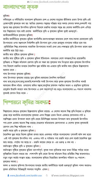 300+ bangla essay and composition tanbircox