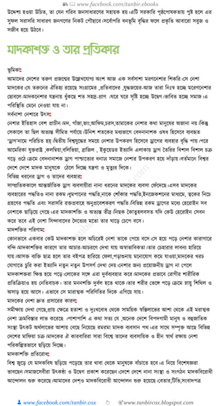 300+ bangla essay and composition tanbircox