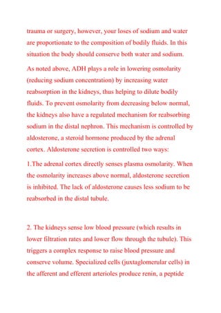 trauma or surgery, however, your loses of sodium and water
are proportionate to the composition of bodily fluids. In this
situation the body should conserve both water and sodium.
As noted above, ADH plays a role in lowering osmolarity
(reducing sodium concentration) by increasing water
reabsorption in the kidneys, thus helping to dilute bodily
fluids. To prevent osmolarity from decreasing below normal,
the kidneys also have a regulated mechanism for reabsorbing
sodium in the distal nephron. This mechanism is controlled by
aldosterone, a steroid hormone produced by the adrenal
cortex. Aldosterone secretion is controlled two ways:
1.The adrenal cortex directly senses plasma osmolarity. When
the osmolarity increases above normal, aldosterone secretion
is inhibited. The lack of aldosterone causes less sodium to be
reabsorbed in the distal tubule.
2. The kidneys sense low blood pressure (which results in
lower filtration rates and lower flow through the tubule). This
triggers a complex response to raise blood pressure and
conserve volume. Specialized cells (juxtaglomerular cells) in
the afferent and efferent arterioles produce renin, a peptide
 