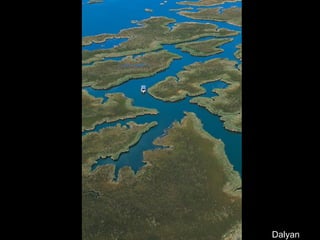Dalyan
 