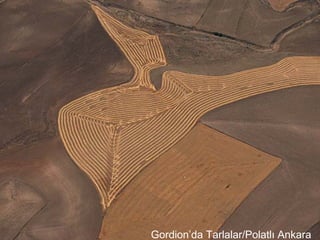 Gordion’da Tarlalar/Polatlı Ankara
 