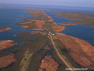 Gediz Deltası/İzmir
 