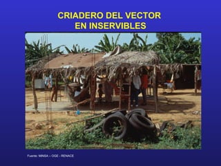 CRIADERO DEL VECTOR
                     EN INSERVIBLES




Fuente: MINSA – OGE - RENACE
 
