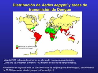 Distribución de Aedes aegypti y áreas de
                  transmisión de Dengue




Más de 2500 millones de personas en el mundo viven en áreas de riesgo
Cada año se presentan al menos 100 millones de casos de dengue clásico.

Anualmente se registran más de 250,000 casos de dengue grave (hemorrágico) y mueren más
de 35,000 personas de dengue grave (hemorrágico)
 
