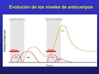 Evolución de los niveles de anticuerpos
 