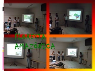 FLORESTA
AMAZÔNICA

 