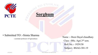 Sorghum
• Submitted TO :-Simta Sharma
( assistant professor of Agriculture)
2/9/2021 PCTE GROUP OF INSTITUTES 1
Name :- Deen Dayal chaudhary
Class :-BSc. Agri.3rd sem.
Roll No.:- 1929150
Subject:- BSAG-301-19
 