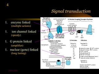 4
                             Signal transduction

1.     enzyme linked
       (multiple actions)

1.      ion channel linked
       (speedy)

1. G protein linked
       (amplifier)
1. nuclear (gene) linked
       (long lasting)




     2004-2005
 