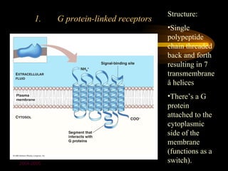 Structure:
      1.    G protein-linked receptors
                                         •Single
                                         polypeptide
                                         chain threaded
                                         back and forth
                                         resulting in 7
                                         transmembrane
                                         å helices
                                         •There’s a G
                                         protein
                                         attached to the
                                         cytoplasmic
                                         side of the
                                         membrane
                                         (functions as a
2004-2005
                                         switch).
 
