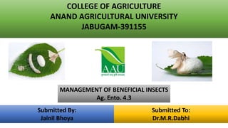 COLLEGE OF AGRICULTURE
ANAND AGRICULTURAL UNIVERSITY
JABUGAM-391155
MANAGEMENT OF BENEFICIAL INSECTS
Ag. Ento. 4.3
Submitted By:
Jainil Bhoya
Submitted To:
Dr.M.R.Dabhi
 