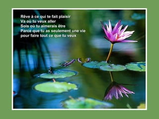 Rêve à ce qui te fait plaisir  Va où tu veux aller  Sois où tu aimerais être  Parce que tu as seulement une vie  pour faire tout ce que tu veux 