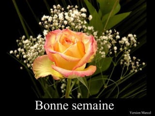 Bonne semaine Version Marcel 