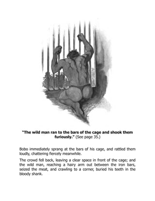 “The wild man ran to the bars of the cage and shook them
furiously.” (See page 35.)
Bobo immediately sprang at the bars of his cage, and rattled them
loudly, chattering fiercely meanwhile.
The crowd fell back, leaving a clear space in front of the cage; and
the wild man, reaching a hairy arm out between the iron bars,
seized the meat, and crawling to a corner, buried his teeth in the
bloody shank.
 