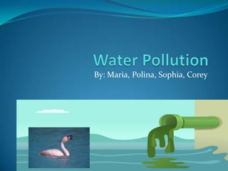 Water Pollution By: Maria, Polina, Sophia, Corey 