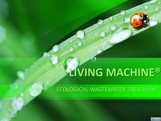 LIVING MACHINE®
ECOLOGICAL WASTEWATER TREATMENT
 