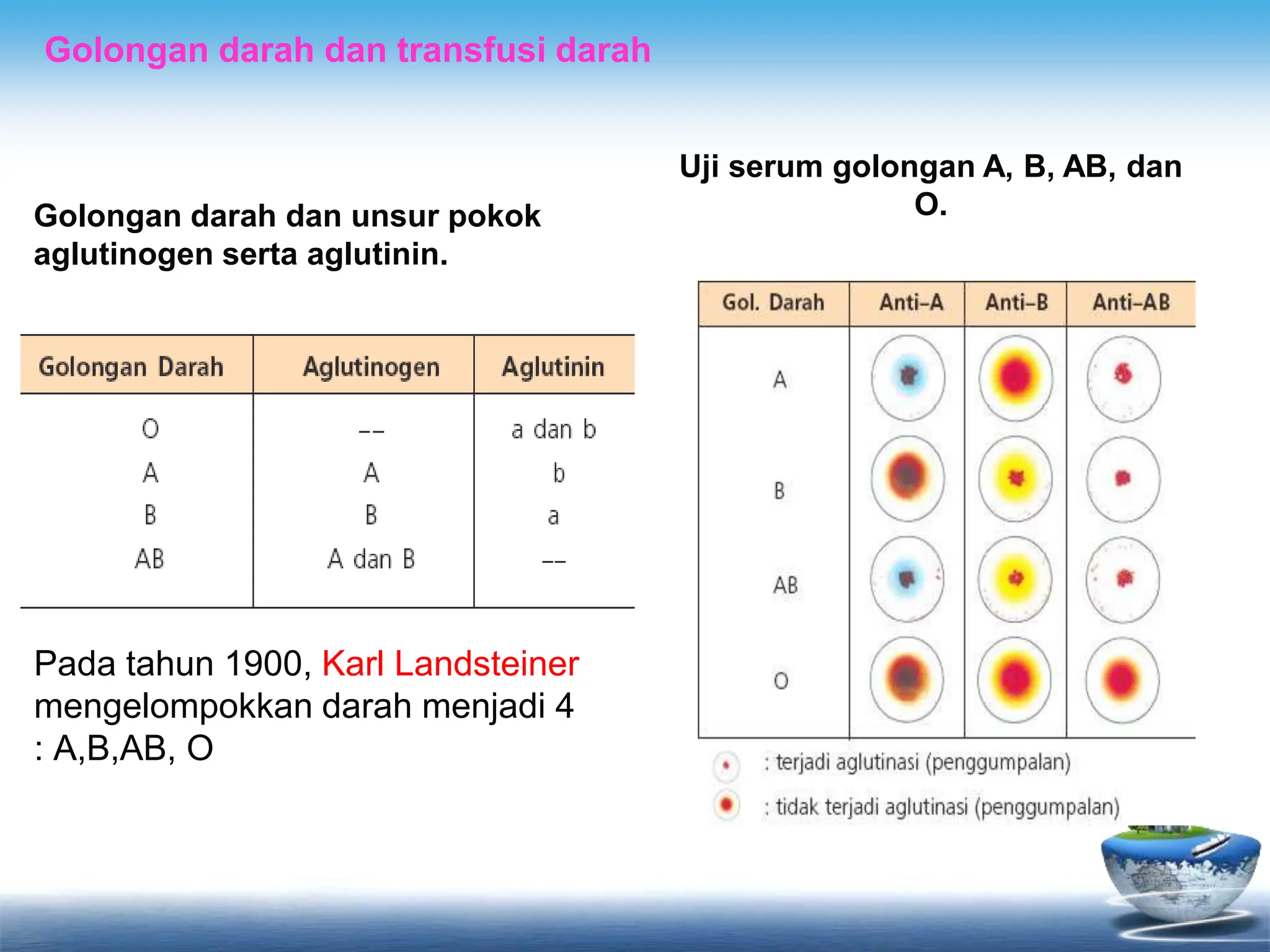 sistem-peredaran-darah-pada-hewan-dan-manusia-ppt
