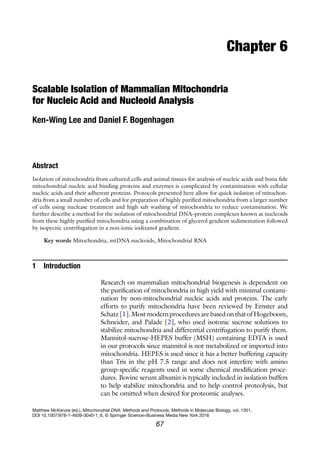 67
Chapter 6
Scalable Isolation of Mammalian Mitochondria
for Nucleic Acid and Nucleoid Analysis
Ken-Wing Lee and Daniel F. Bogenhagen
Abstract
Isolation of mitochondria from cultured cells and animal tissues for analysis of nucleic acids and bona ﬁde
mitochondrial nucleic acid binding proteins and enzymes is complicated by contamination with cellular
nucleic acids and their adherent proteins. Protocols presented here allow for quick isolation of mitochon-
dria from a small number of cells and for preparation of highly puriﬁed mitochondria from a larger number
of cells using nuclease treatment and high salt washing of mitochondria to reduce contamination. We
further describe a method for the isolation of mitochondrial DNA–protein complexes known as nucleoids
from these highly puriﬁed mitochondria using a combination of glycerol gradient sedimentation followed
by isopycnic centrifugation in a non-ionic iodixanol gradient.
Key words Mitochondria, mtDNA nucleoids, Mitochondrial RNA
1 Introduction
Research on mammalian mitochondrial biogenesis is dependent on
the puriﬁcation of mitochondria in high yield with minimal contami-
nation by non-mitochondrial nucleic acids and proteins. The early
efforts to purify mitochondria have been reviewed by Ernster and
Schatz [1]. Most modern procedures are based on that of Hogeboom,
Schneider, and Palade [2], who used isotonic sucrose solutions to
stabilize mitochondria and differential centrifugation to purify them.
Mannitol-sucrose-HEPES buffer (MSH) containing EDTA is used
in our protocols since mannitol is not metabolized or imported into
mitochondria. HEPES is used since it has a better buffering capacity
than Tris in the pH 7.5 range and does not interfere with amino
group-speciﬁc reagents used in some chemical modiﬁcation proce-
dures. Bovine serum albumin is typically included in isolation buffers
to help stabilize mitochondria and to help control proteolysis, but
can be omitted when desired for proteomic analyses.
Matthew McKenzie (ed.), Mitochondrial DNA: Methods and Protocols, Methods in Molecular Biology, vol. 1351,
DOI 10.1007/978-1-4939-3040-1_6, © Springer Science+Business Media New York 2016
 