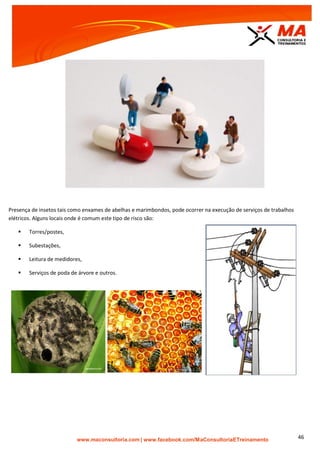 | www.facebook.com/MaConsultoriaETreinamento 46
Presença de insetos tais como enxames de abelhas e marimbondos, pode ocorrer na execução de serviços de trabalhos
elétricos. Alguns locais onde é comum este tipo de risco são:
 Torres/postes,
 Subestações,
 Leitura de medidores,
 Serviços de poda de árvore e outros.
 