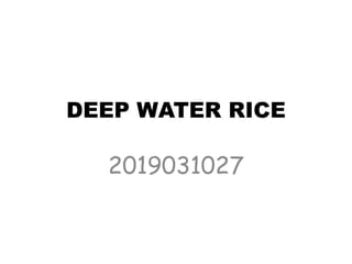 DEEP WATER RICE
2019031027
 
